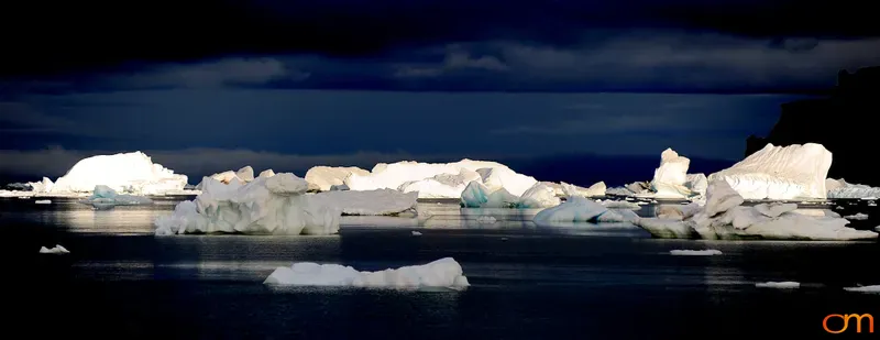 Antarctic Icebergs in Evening Sun
