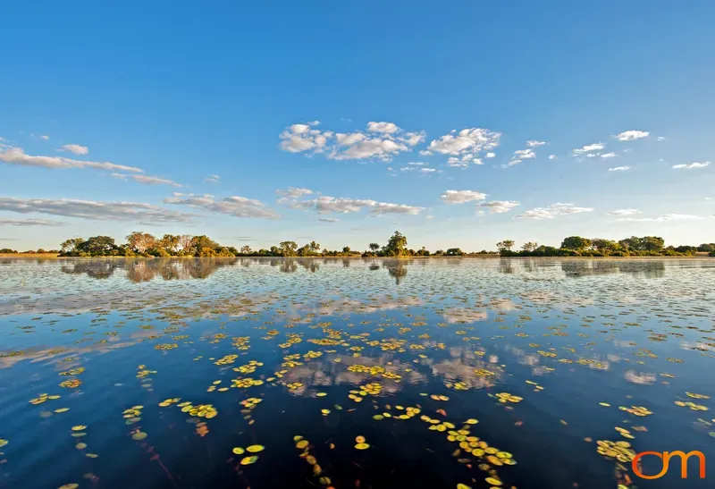 Okavango Delta Reflections