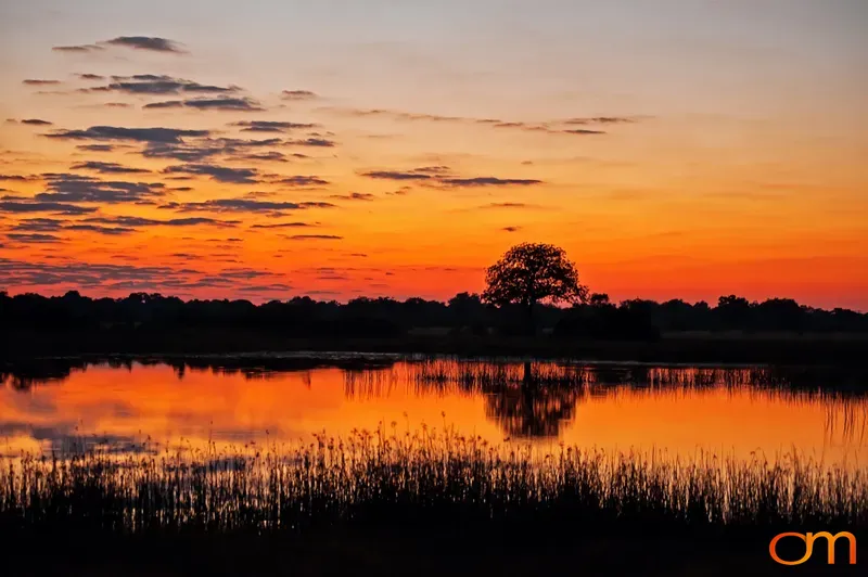Sunset at Vumbura Plains