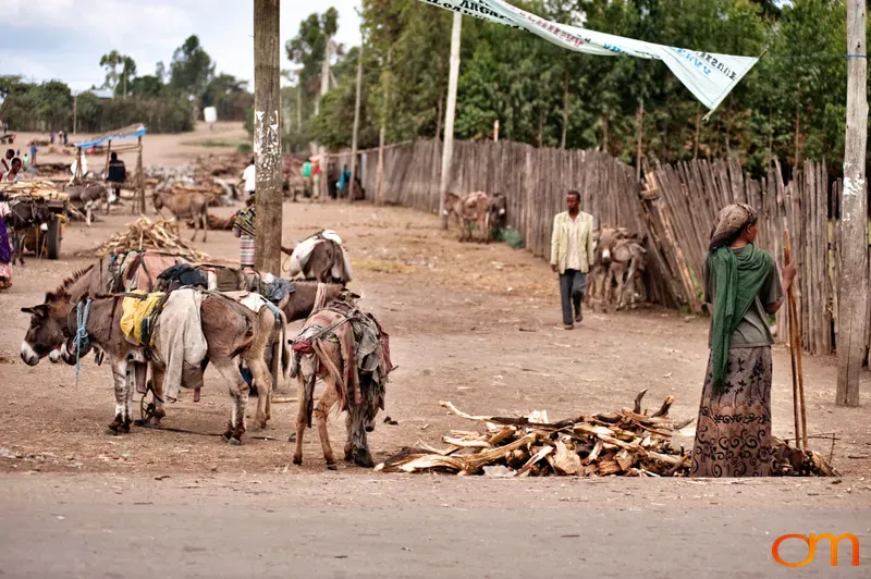 Rural Road in Ethiopia