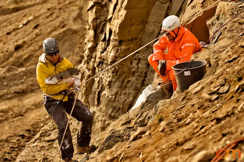 Whale Fossil Removal Tjörnes