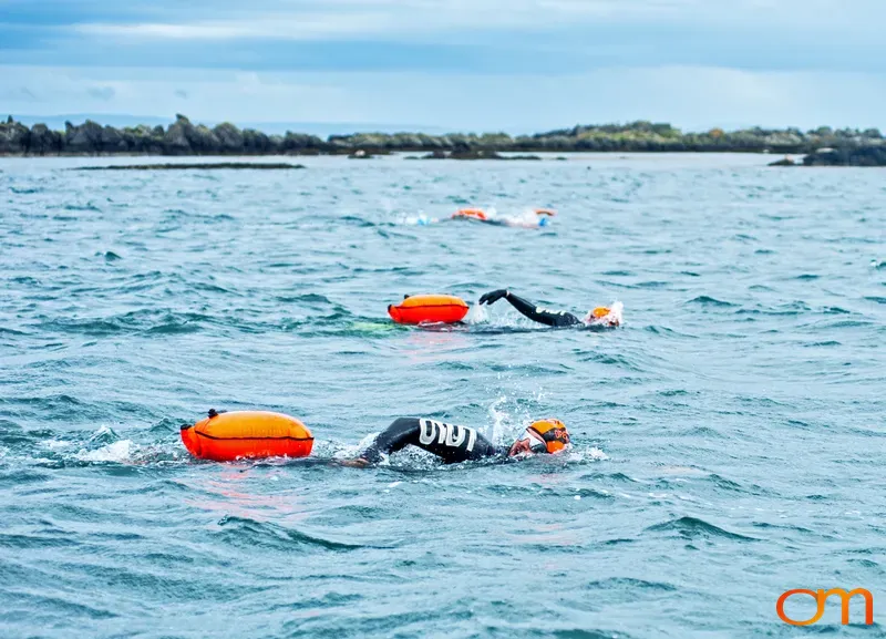 Great Islay Swimmers