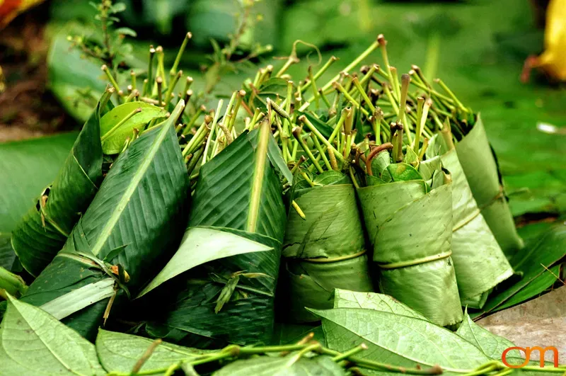 Betel Leaf Bundles in Solomon Islands