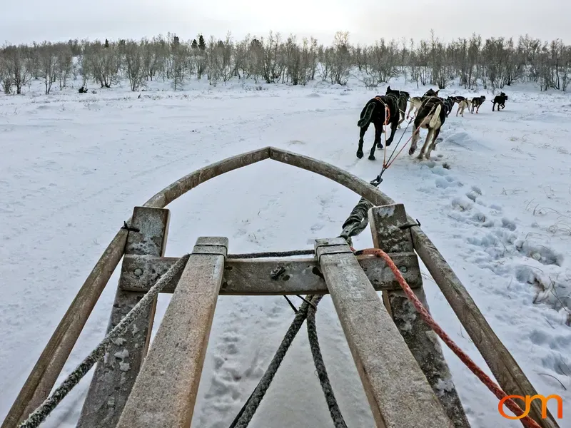 Dog Sledding Across Abisko National Park